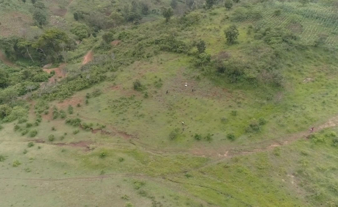 Kwesimu (2017)