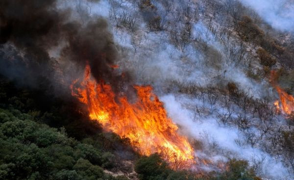 Angeles National Forest