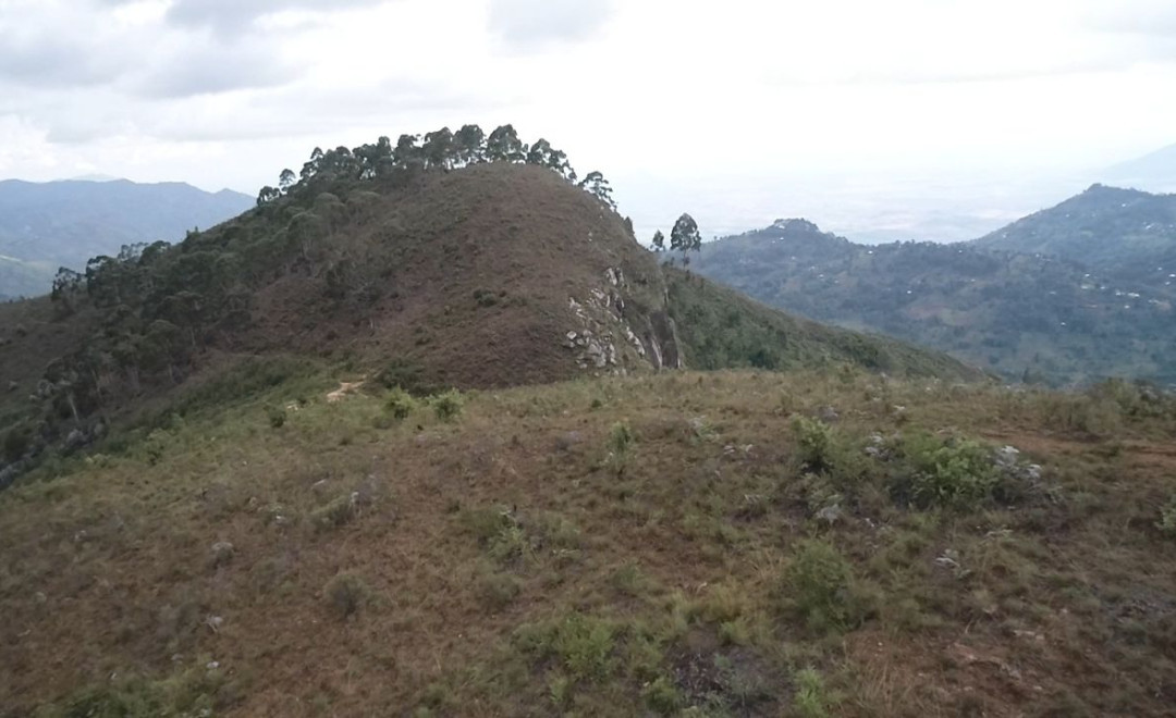Usambara Hill Tops (2020-2021)
