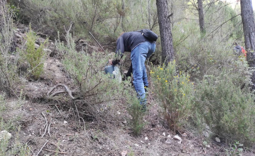 Pinares de lujar 1