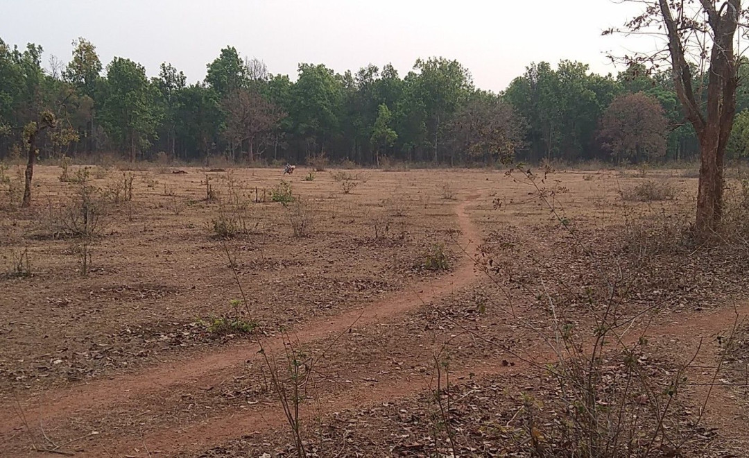 Bastar District-Chhattisgarh (2022)