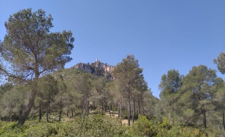 Montaña del Castellot