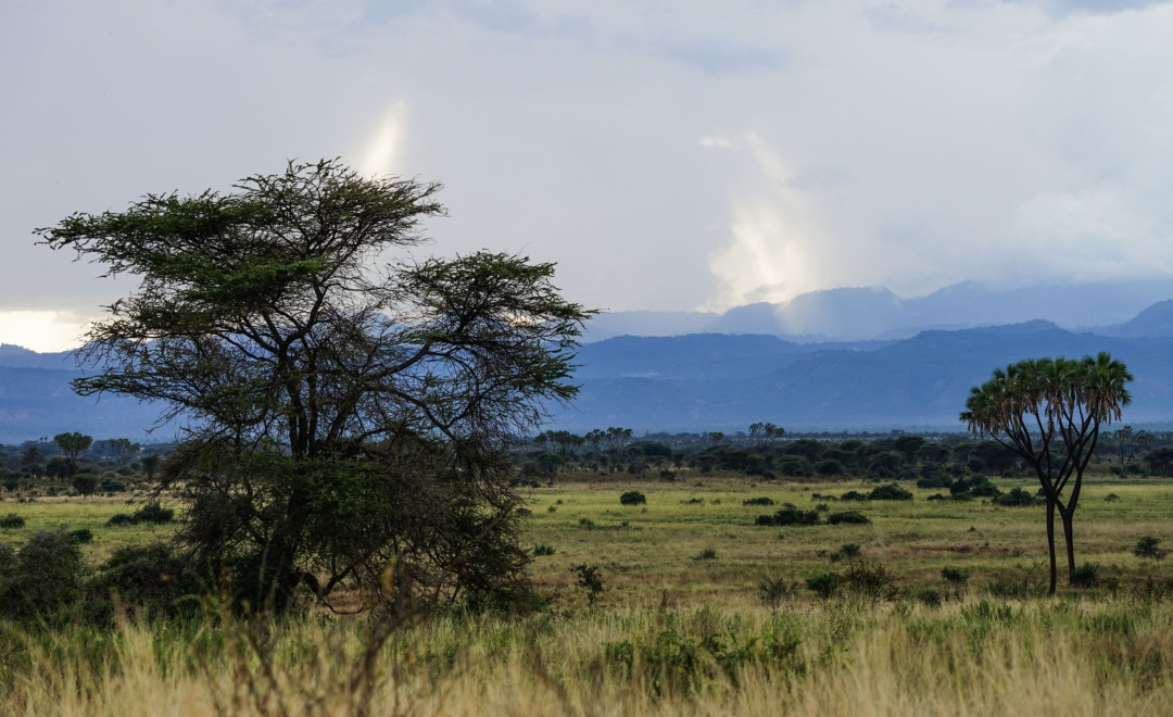 Kawiru Cluster (Meru County)