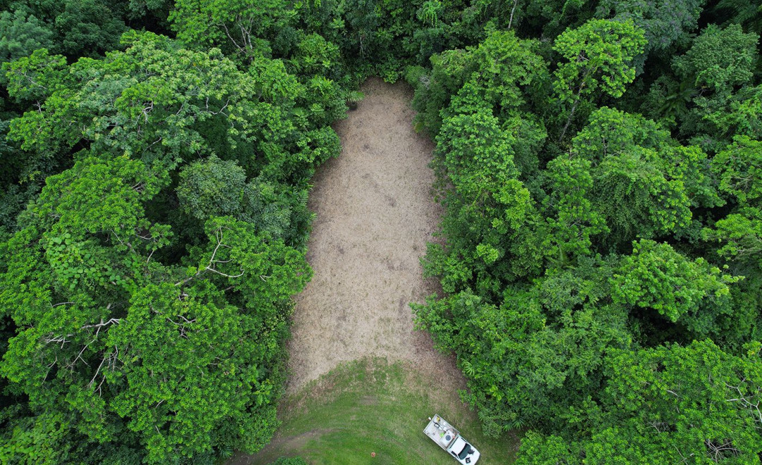 Jungle Peace (Madja Milka Marri)