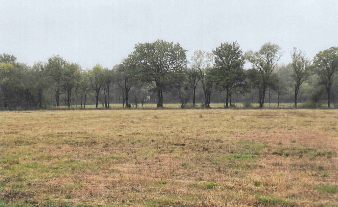 Machecoul -  (2023)