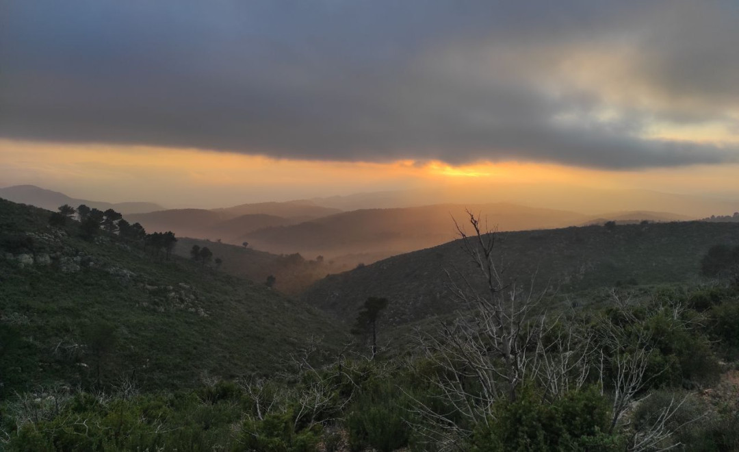 Barranc del Sint. Serra de Mariola