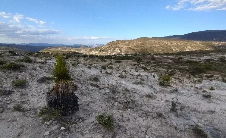 Las Flores - Tepelmeme (Oaxaca)
