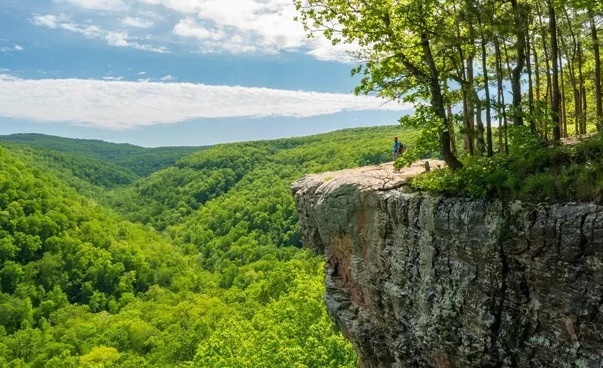 Ozark and St. Francis NF (Arkansas)