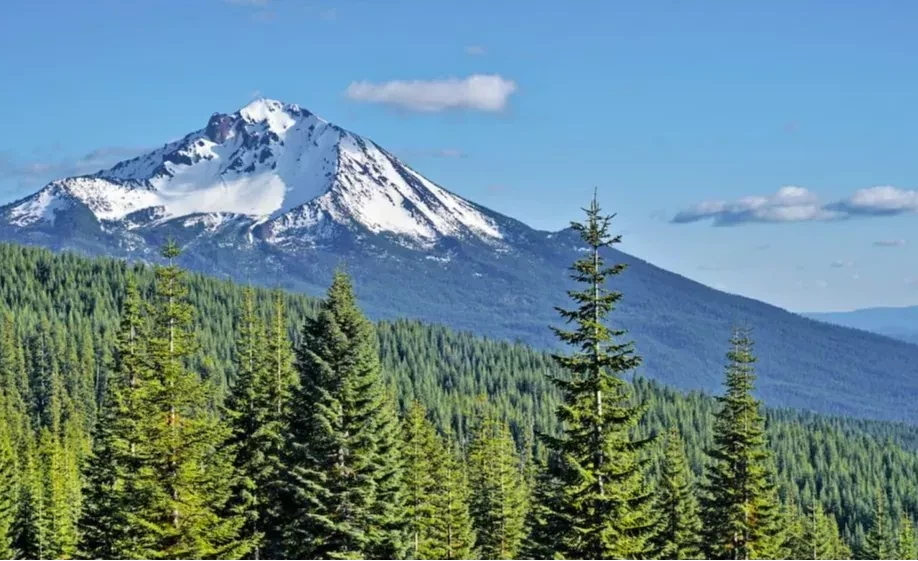 Rim Fire Recovery (Umpqua & Fremont NF)