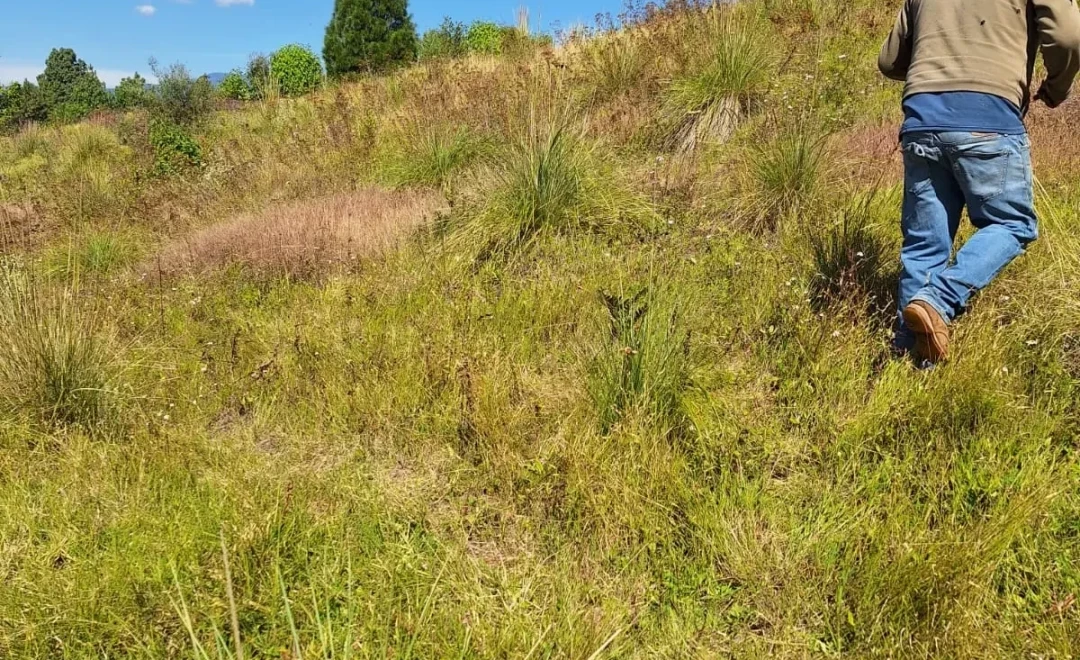 Irinea, Crescencio Morales, Zitácuaro
