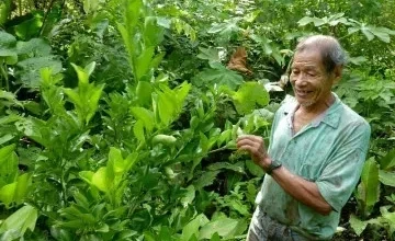 CV MDD Smallholder Farmer (2021)