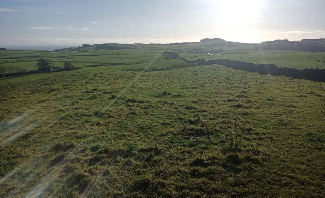 Suie Fields - Dumfries (Scotland)