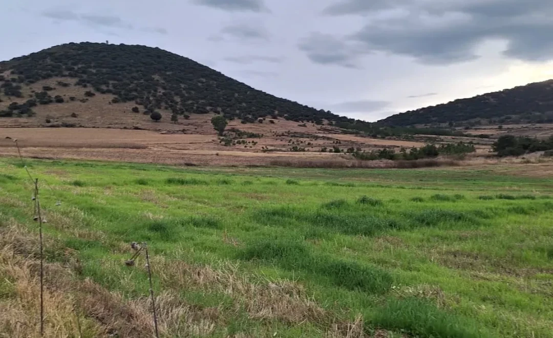 Adán, Contepec