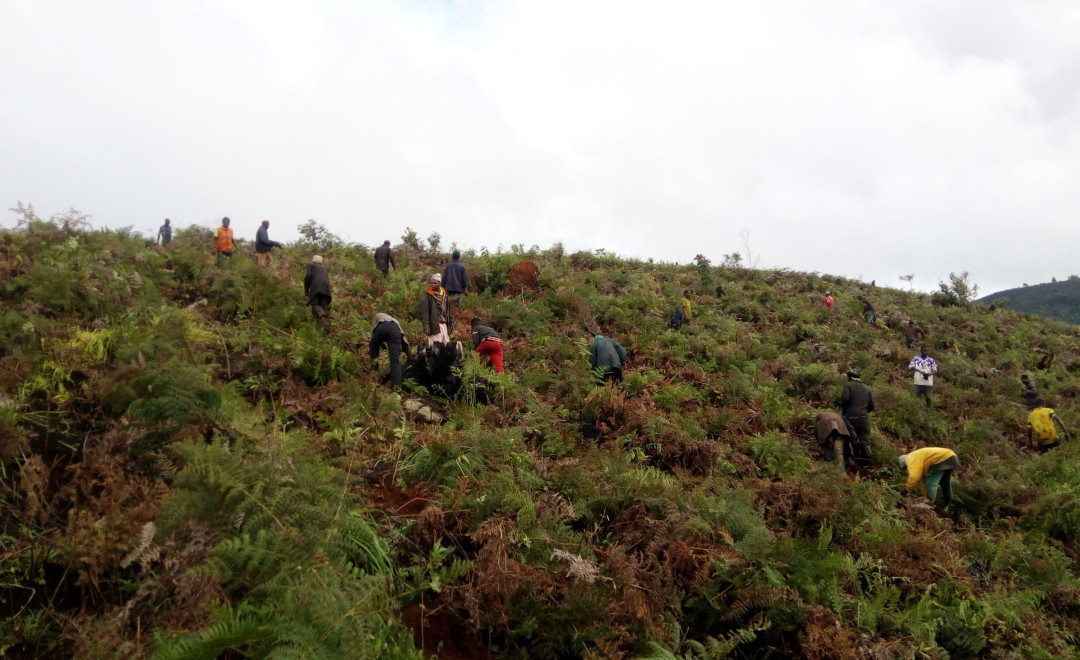 MKussu Forest Reserve 1 (2023)