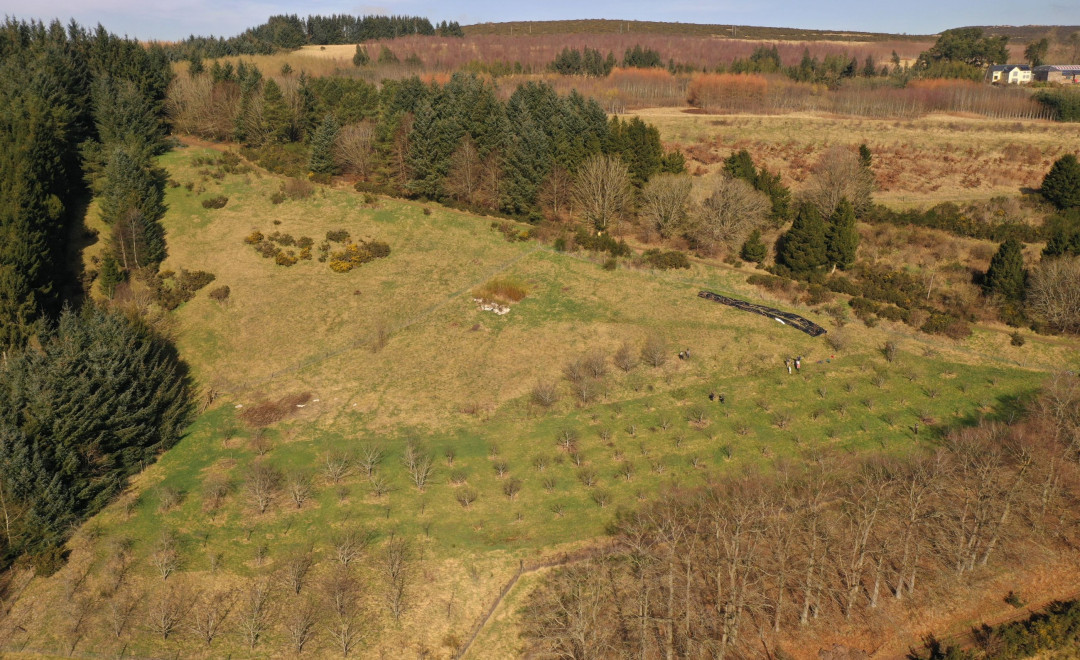 Alyth Hill (Scotland)