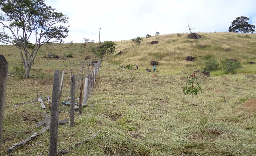 Sítio Estrela da Terra