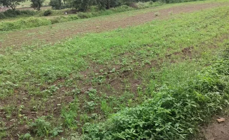 Village Bakori