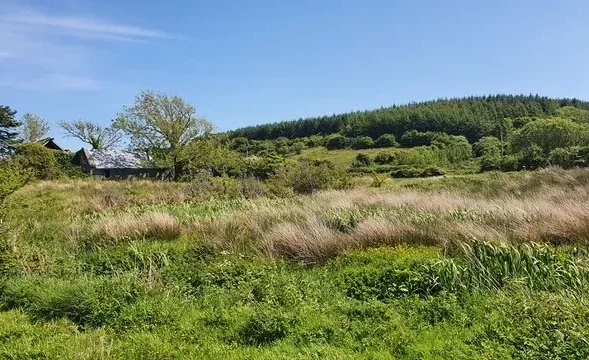 Gortnaboul, County Clare