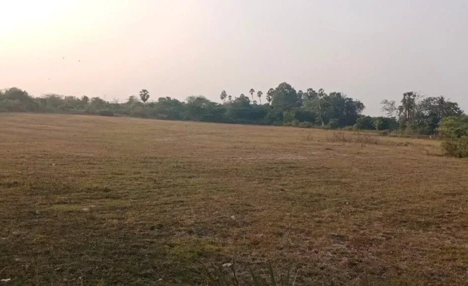 Tamil Nadu (2023)