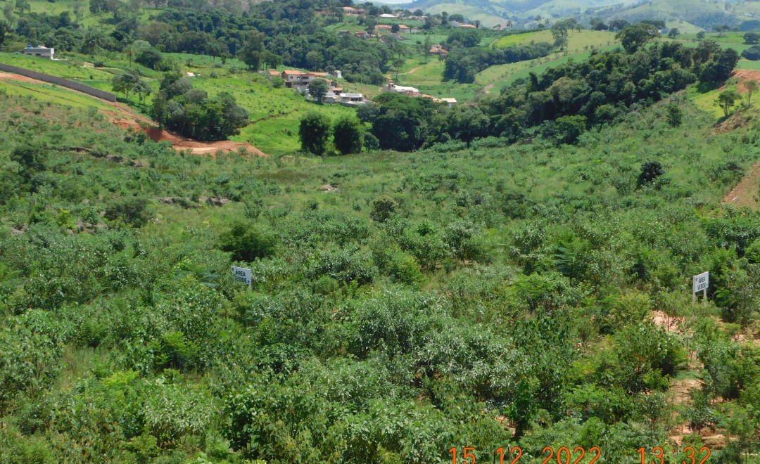 Loteamento Reserva Carraro - Área 1
