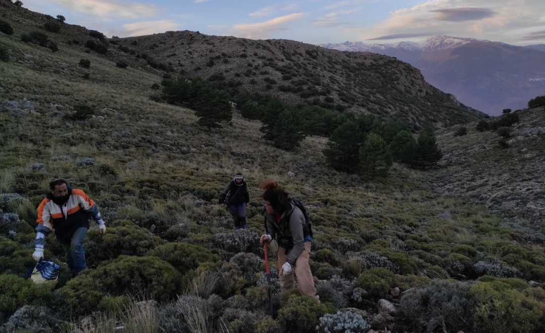 Primer rincón de la cumbre
