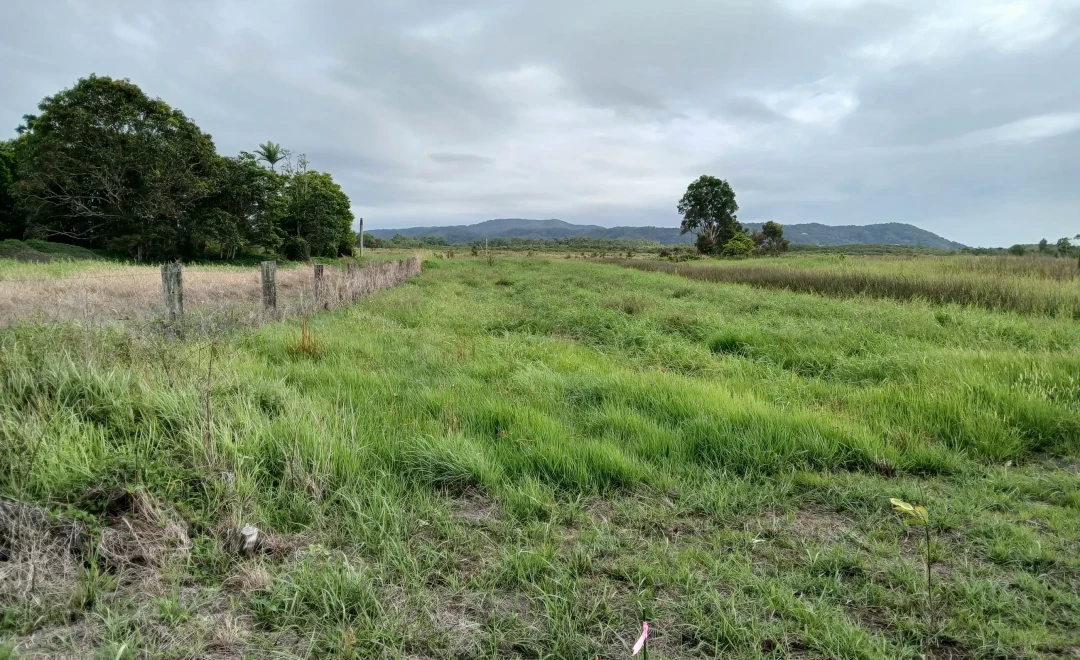 Bells Road Project