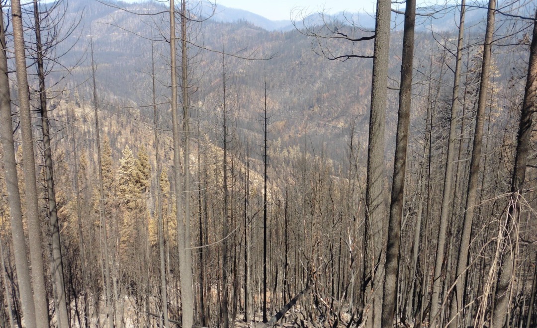 Slater + McCash Fires (Klamath NF)