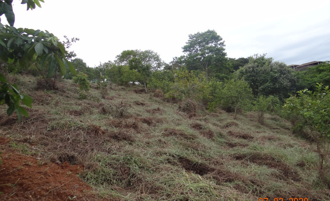 Fazenda Furquilha - Área 01