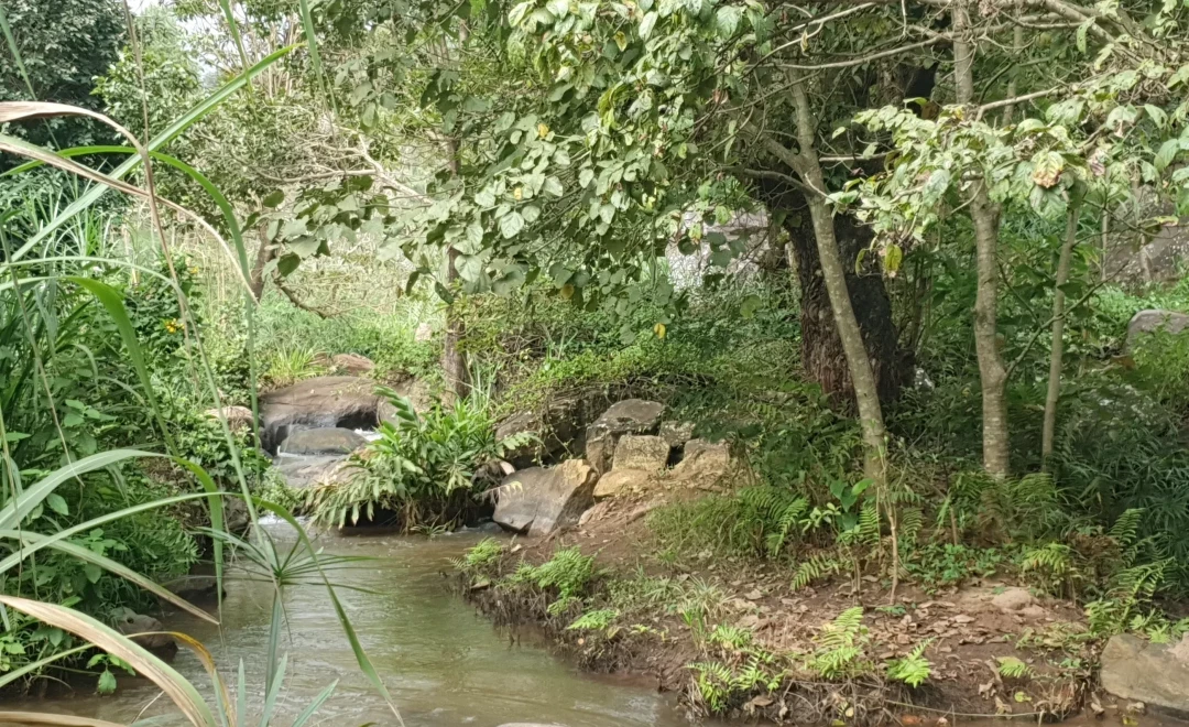Shashui Soni