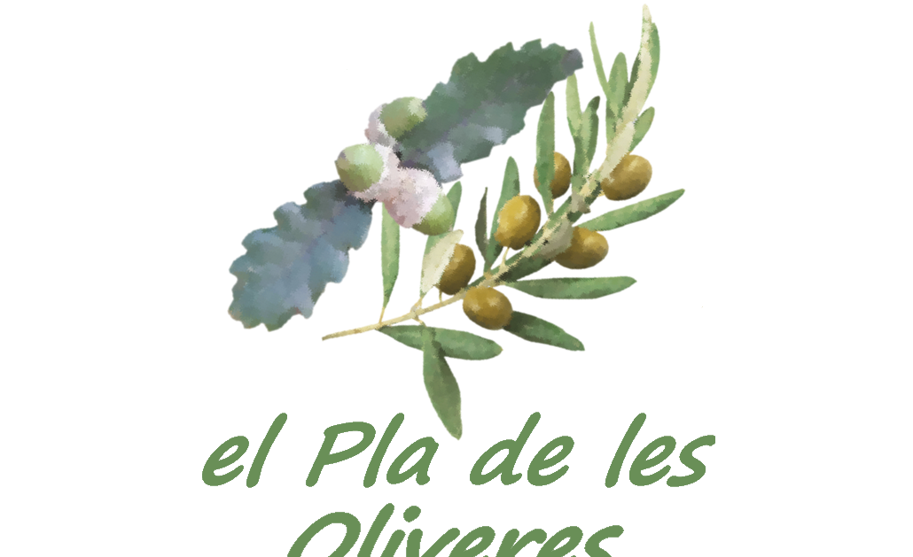 Pla de les Oliveres