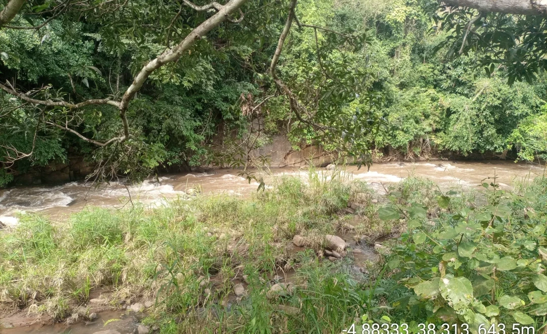 Bangala-Mombo