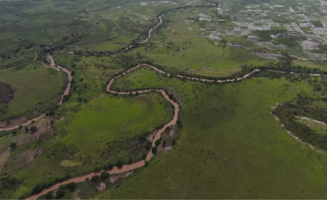 Tabora 02 (2024)