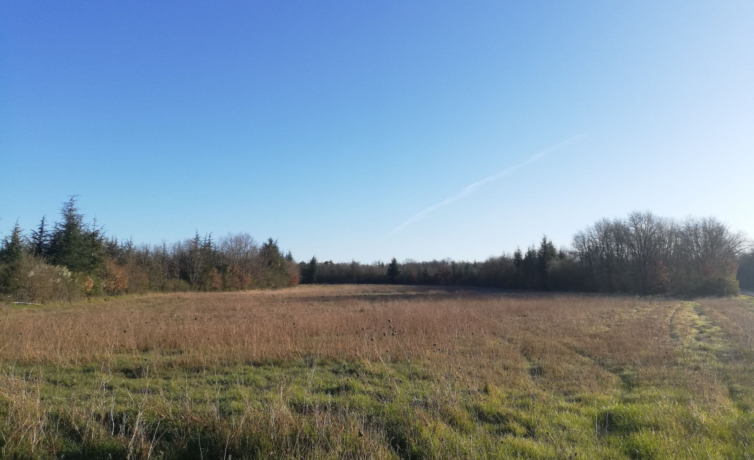 Pouligny St. Pierre 2 (2023)