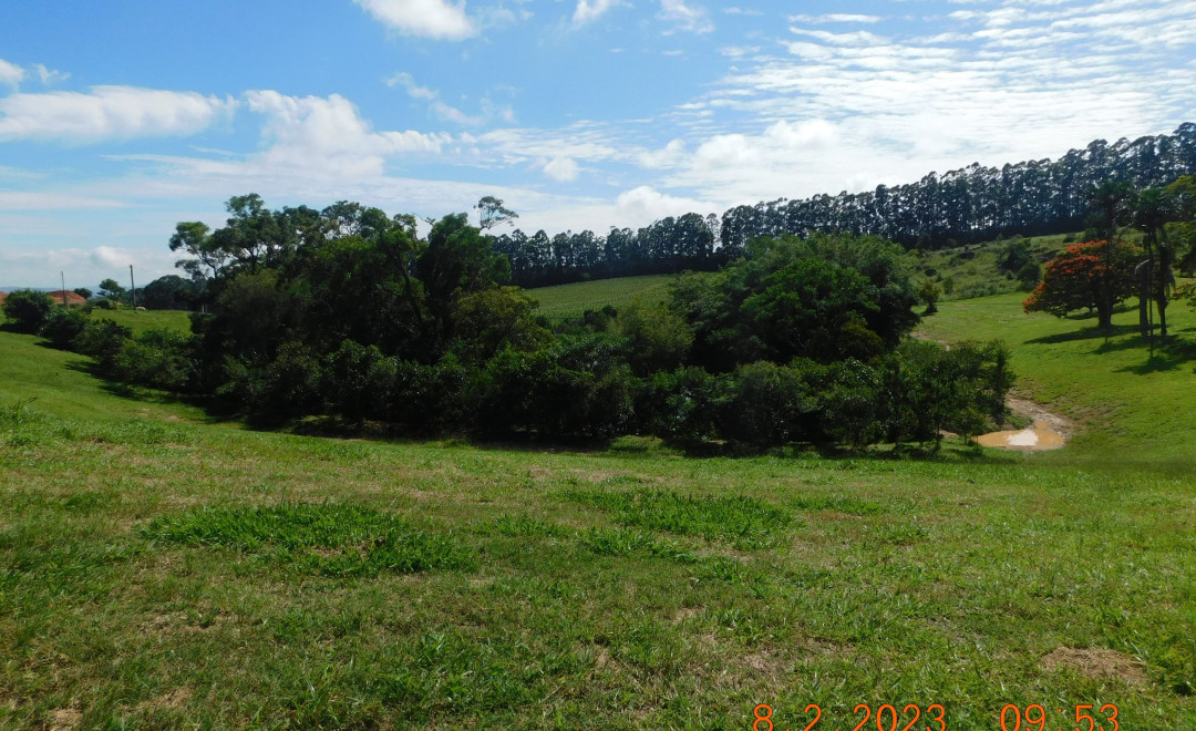 Fazenda Santa Carolina - Área 02