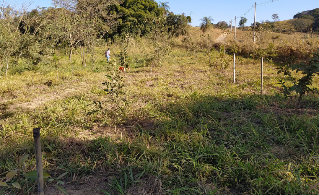 Fazenda Itapira