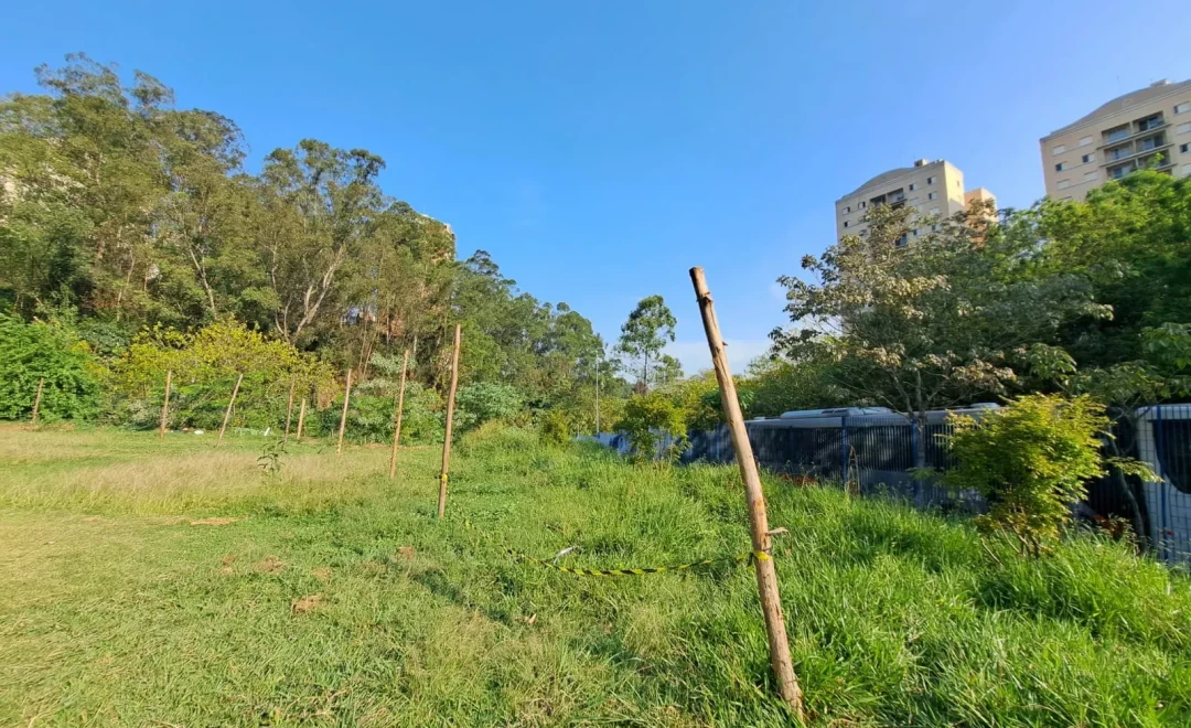 CEU Paraisópolis (2023)