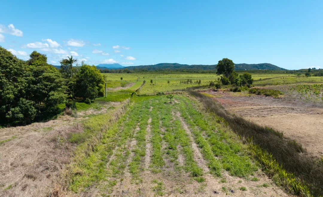 Bells Road, Zone B