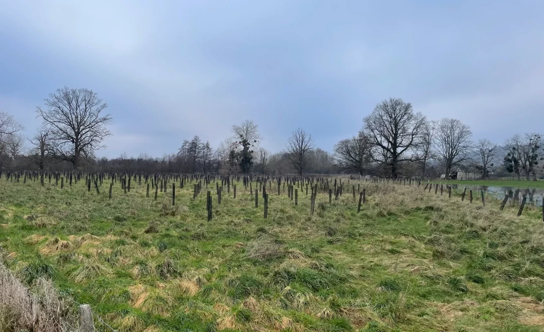 Croisy-sur-Eure (2024)