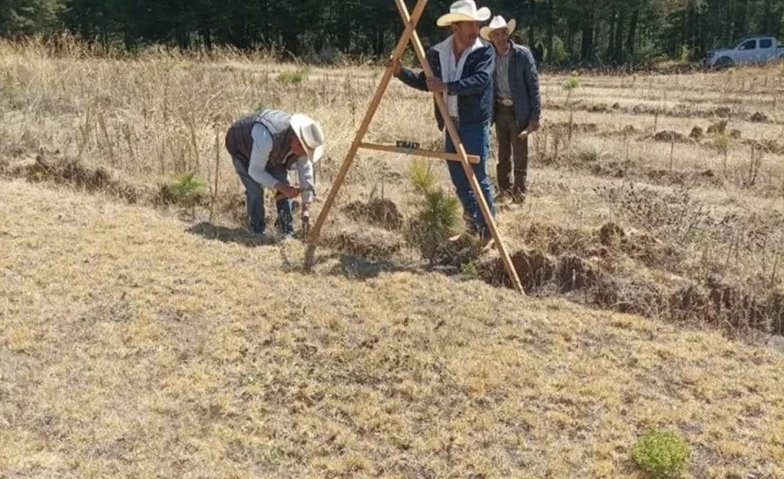 Everardo, Tlalpujahua