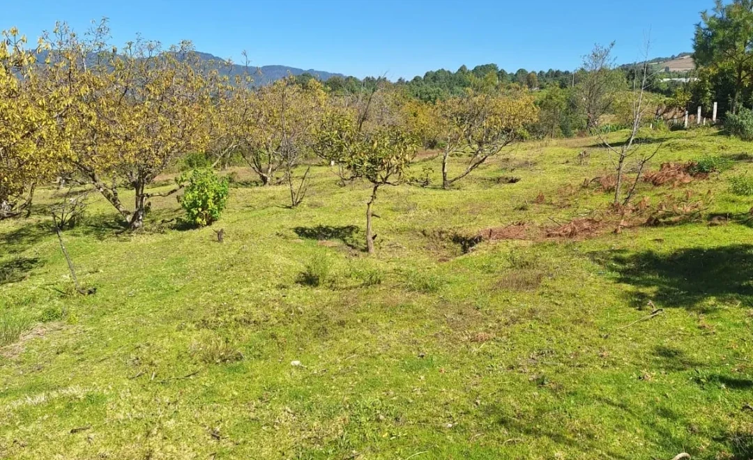 Adriana, Crescencio Morales, Zitácuaro