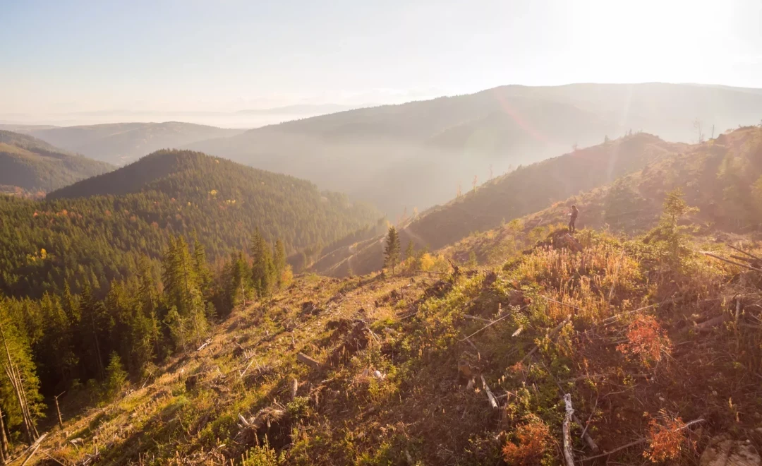 Cheile Bicazului (Hășmaș Mountains)