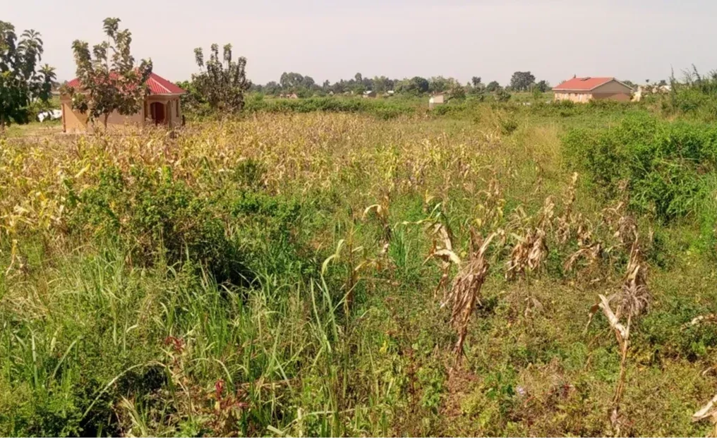 Kocheka County (Bukedea District)