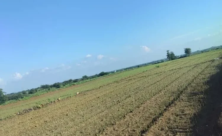 Village Kendur