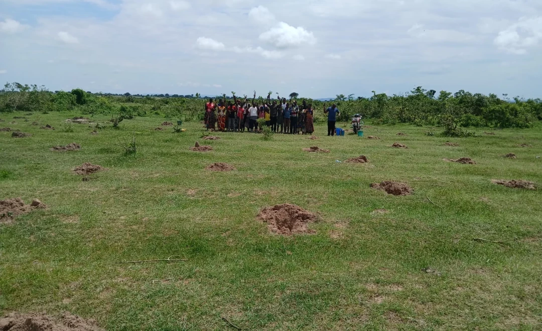 Bujula Miyenze Mwienzi Forest 2025