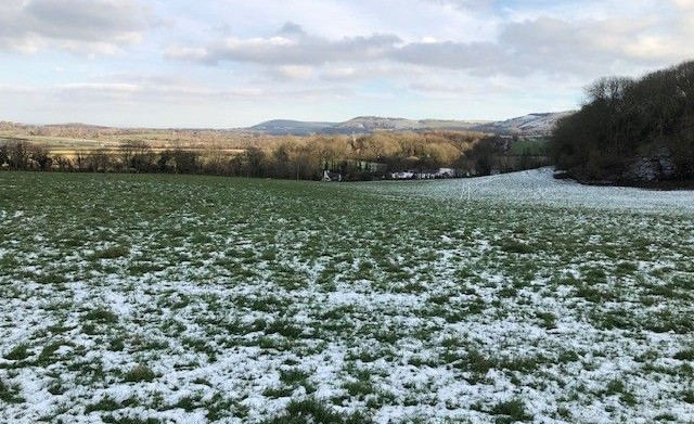 Fulking Horse Field (West Sussex)