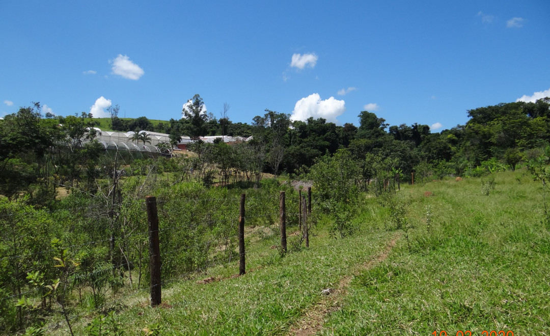 Fazenda das Palmeiras