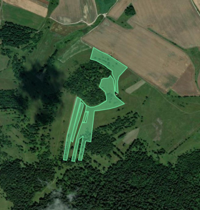 Satellite view of Bear Groves Transylvania in Romania outlined as green polygons