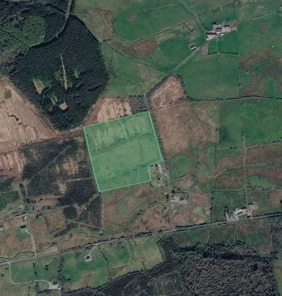 Satellite view of Community Tree Plantation in Ireland outlined as green polygons