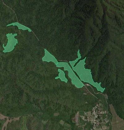 Satellite view of Bosques Yungas outlined as green polygons