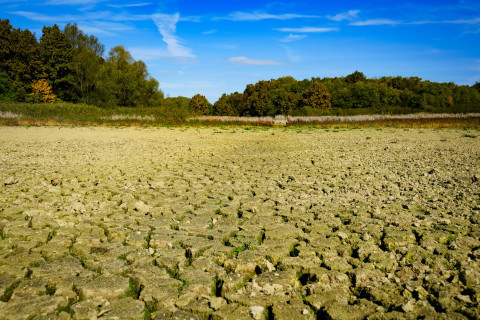 CombatDesertification